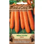 MoravoSeed Cidera Mrkev pozdní 8 g