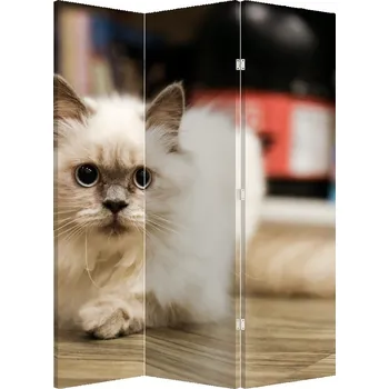 Paraván LuxusniObrazy.cz Paraván - Bílá kočka
