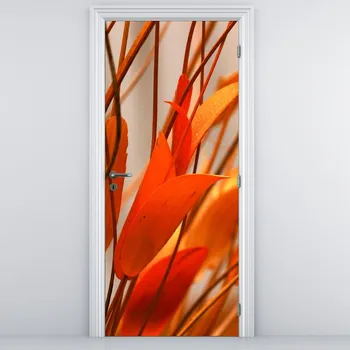 Fototapeta LuxusniObrazy.cz Fototapeta na dveře - Okvětní lístky