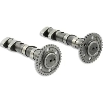 Válec motoru Malossi Vačky Malossi, Yamaha T Max 500 4B5 5VU 5GJ M.5913783