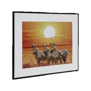 Diamantové malování Diamantový obrázek - zebra, 40x50cm