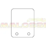 Náhradní karbonové lístky Malossi 2ks 0,30 mm 90۫ MHR VL13 125-180ccm M.279488.C0