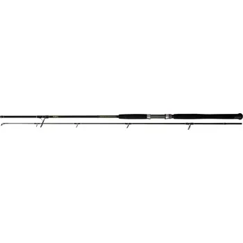 Rybářský prut Black Cat Rybářský prut Solid Spin 2,4m 40-160g