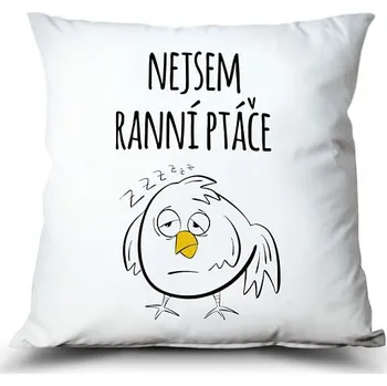 Dekorativní polštářek Ahome Dekorační polštářek s potiskem 37 x 37 cm