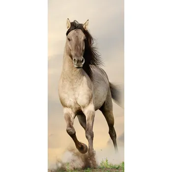 Fototapeta AG Design Cválající kůň 90 x 202 cm