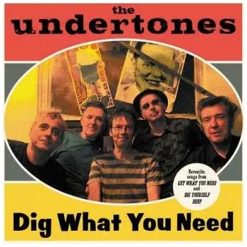 Zahraniční hudba LP The Undertones: Dig What You Need 2023 Best Of 2003 2007 Vinyl