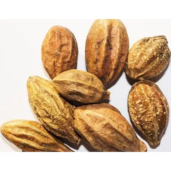 Rymer vykuřovadla Vrcholák - arjuna celý plod 20g