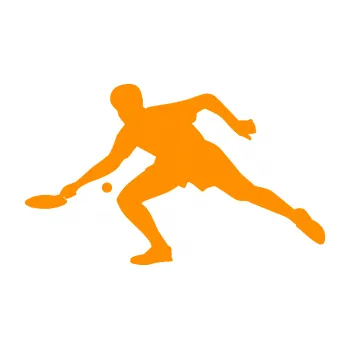 Polep vozidla Ping pong 001 levá (06 - oranžová) SAMOLEPKA NA AUTO, NÁLEPKA, FÓLIE, POLEP, TUNING, VLASTNÍ TEXT, TISK, AUTOSAMOLEPKY.cz, POLEPY, OBRÁZEK, LOGO, 3D STICKERS