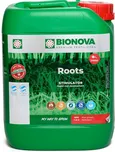 BIONOVA Roots