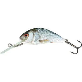 Umělá nástraha Wobler Salmo Hornet 3,5cm F plovoucí RD