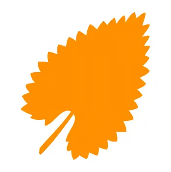 Samolepící dekorace List 001 pravá (06 - oranžová) SAMOLEPKA NA AUTO, NÁLEPKA, FÓLIE, POLEP, TUNING, VLASTNÍ TEXT, TISK, AUTOSAMOLEPKY.cz, POLEPY, OBRÁZEK, LOGO, 3D STICKERS