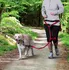 Běžecký opasek pro psa Trixie Pás na běh s vodítkem červený