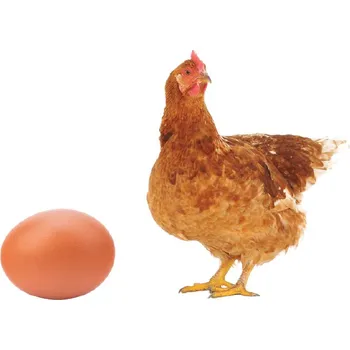 Krmivo pro hospodářské zvíře afeed Krmivo - Nosnice snáška "SUPERIOR" forma: granulovaná