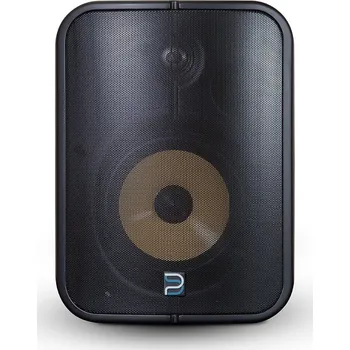 Bluesound Professional BSP1000 Black (Aktivní BluOS streamovací reproduktor pro vnitřní i venkovní použití BSP1000)