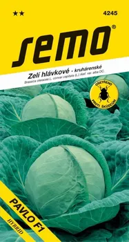 Semeno SEMO Pavlo F1 zelí hlávkové kruhárenské 40 ks