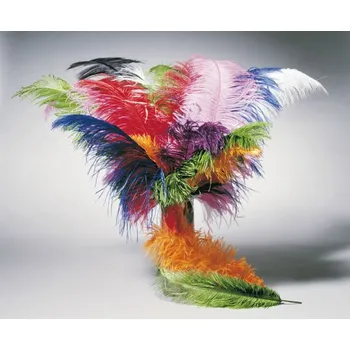 Žertovný předmět Pštrosí peří - 60cm Barva: Zelená