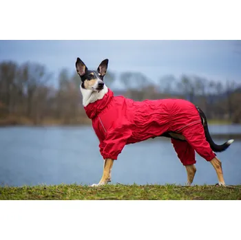 Obleček pro psa Vsepropejska Sayen kombinéza pro psa červená 81 cm