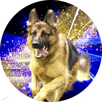 ETROFEJE emblém B2/23 pes 50mm