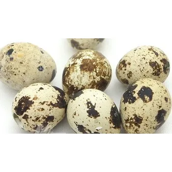 Velikonoční dekorace Vajíčko křepelčí pravé natur - celé - 1ks