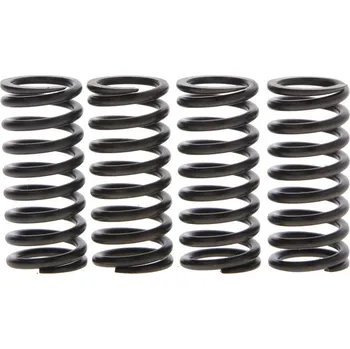 Sada spojkových pružin HONDA TRX 300 EX Fourtrax rok 88-00