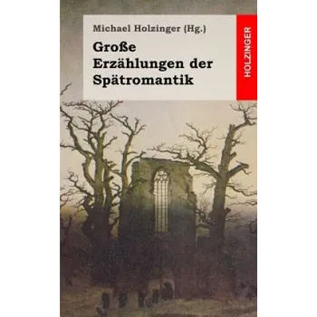 Populárně naučná literatura pro dospělé Große Erzählungen der Spätromantik – Michael Holzinger (DE)