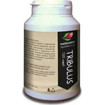 Rabštejnská apatyka Tribulus 120 cps.