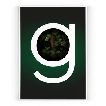 Plakát Plakát / Obraz Gee Pololesklý saténový papír A4 - 21 x 29,7 cm