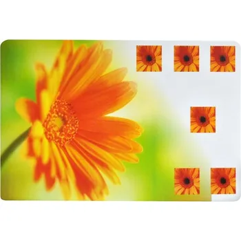 prostírání TORO Prostírání KVĚTINY 43,5 x 28,5 cm, plast, dekory mix