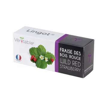 Semeno Véritable Lingot BIO Divoká jahoda