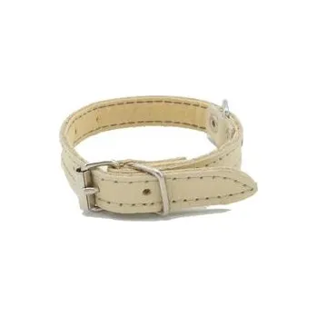 Obojek pro psa Sedlářství Doležel Obojek na psa kožený malý 25cm/12mm světle hnědý