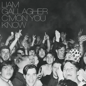 Hudba C'mon You Know - Liam Gallagher [LP]