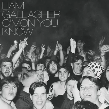 Zahraniční hudba C'mon You Know - Liam Gallagher [LP]