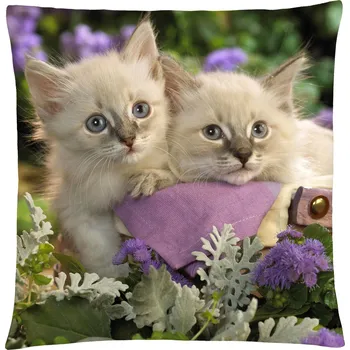 Polštář Polštář s motivem kočky 42 Mybesthome 40x40 cm Varianta: Povlak na polštář s výplní, 40x40 cm