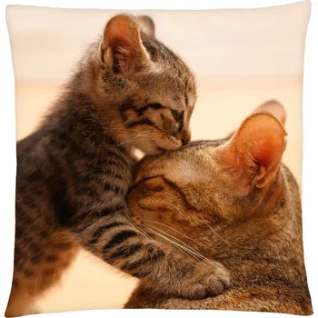 Polštář s motivem kočky 30 Mybesthome 40x40 cm Varianta: Povlak na polštář, 40x40 cm