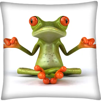 Polštář Polštář FROG 01 zelená Mybesthome 40x40 cm Varianta: Povlak na polštář, 40x40 cm