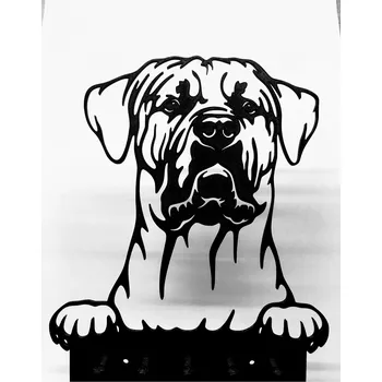 Věšák Tosa inu - věšák na klíče