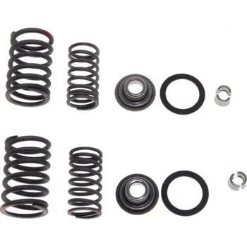 Ventil motoru sada pružin ventilů skútry 50 ccm 4T - 139QMB/QMA (GY6 50) 4T