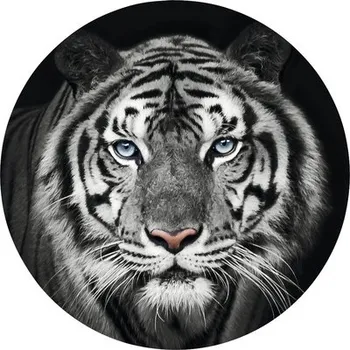 Fototapeta Fototapeta vliesová Tygr čb 190 cm