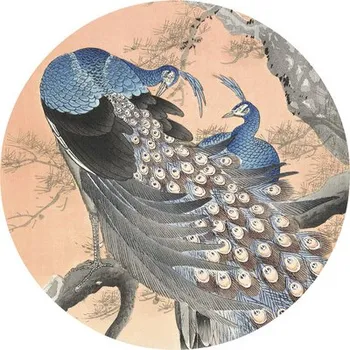 Fototapeta Fototapeta vliesová Japonský páv 142,5 cm