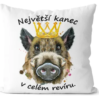 Dekorativní polštářek Polštář 40 x 40 cm - Největší kanec
