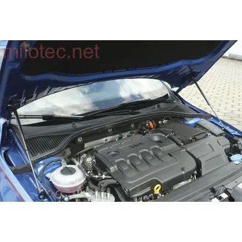 Dveře karosérie Milotec 3 624 04