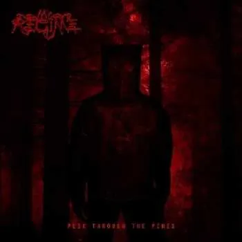 Zahraniční hudba CD My Regime: Peek Through The Pines LTD | DIGI 2020 Digipack Limited Edition