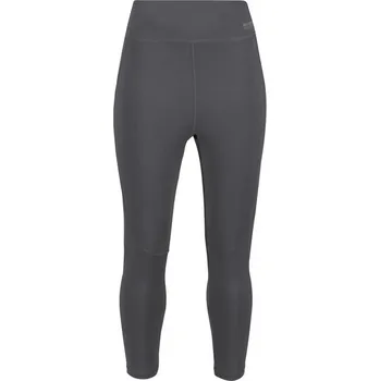 Dámské legíny Dámské legíny Regatta Highton Pro 3/4 Velikost: XS / Barva: šedá