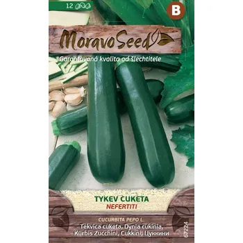 Semeno MoravoSeed Nefertiti tykev cuketa 12 ks