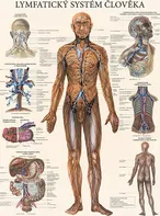 Nakladatelství Poznání Lymfatický systém člověka 47 x 63 cm