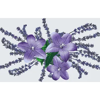 Malování podle čísel - Ozdobné květiny Velikost: 40x60cm, Rámování: Pouze srolované plátno