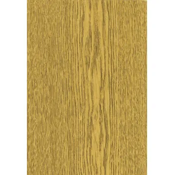 Vchodové dveře Obarvený dub- Dveřní fólie - Pretty - OBJEDNÁVKOVÝ