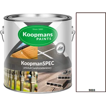 Lak na dřevo Koopmans KOOPMANSPEC RAL 9003 Velikost balení: 0,25l