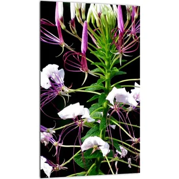 Obraz LuxusniObrazy.cz Obraz květiny