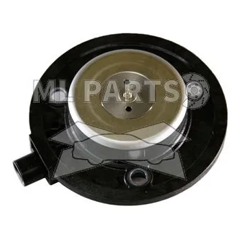 Vačková hřídel Centrální magnet, seřízení vačkového hřídele Schaeffler INA 427 0034 10